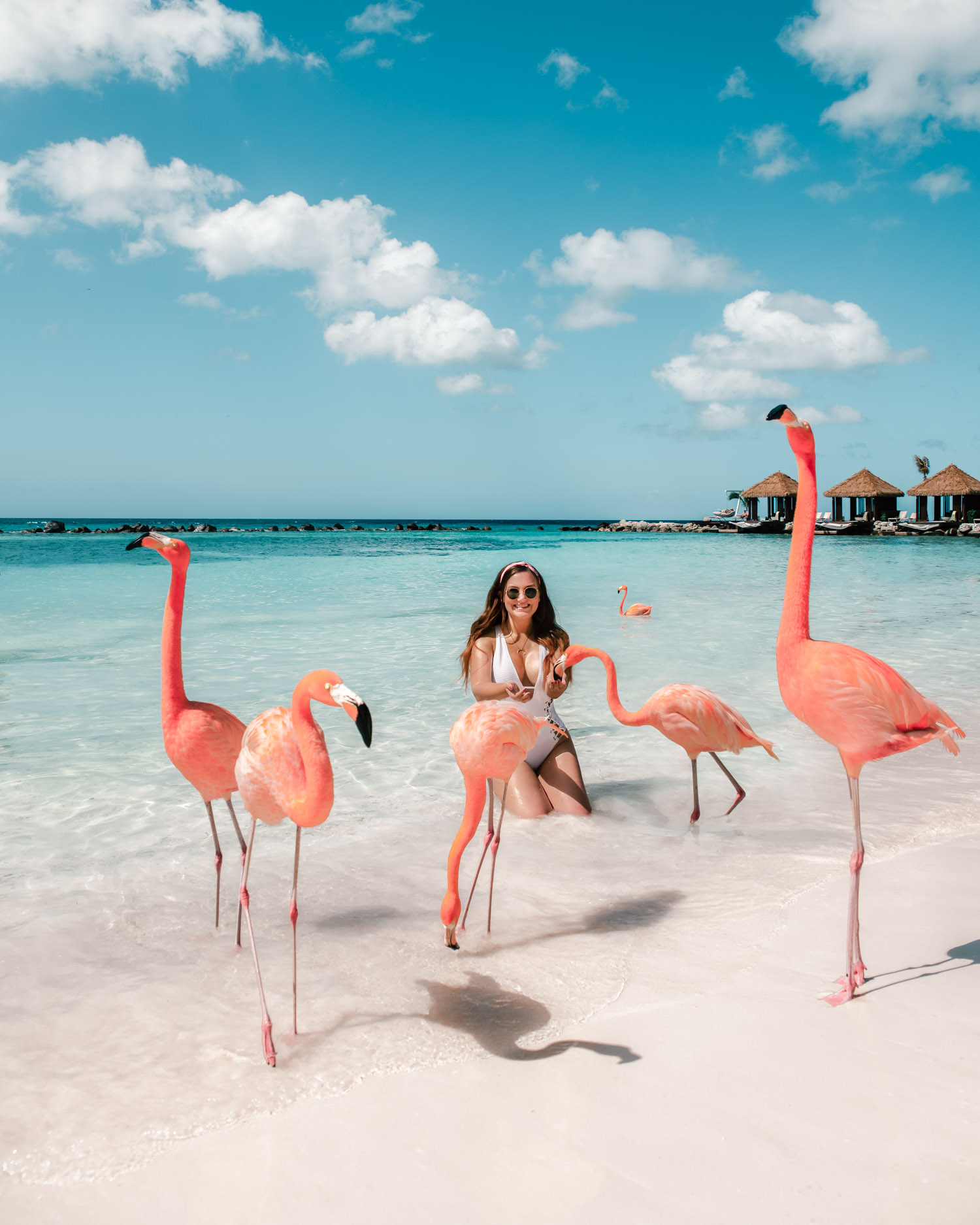 Flamingo Beach, Renaissance Private Island | Reseguide till Aruba, Västindien