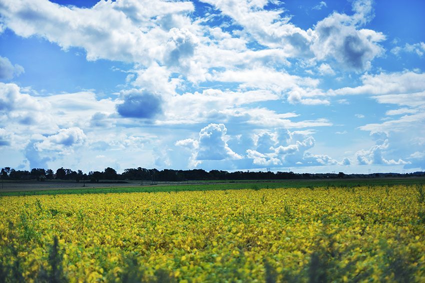 Landskap - Öland