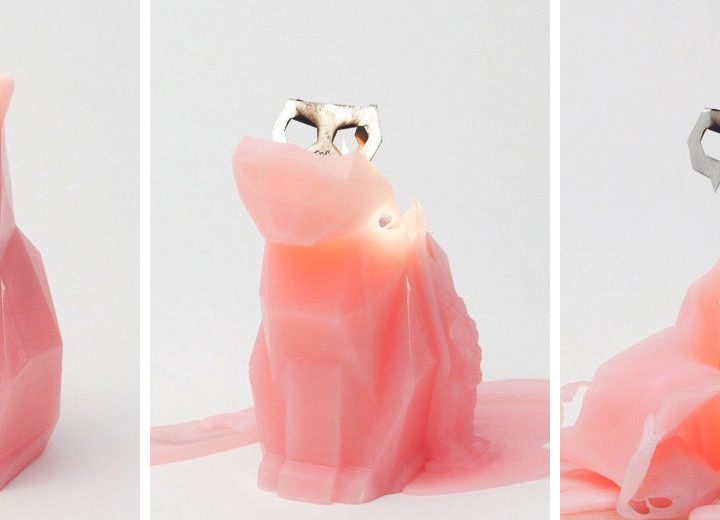 PyroPet Candle