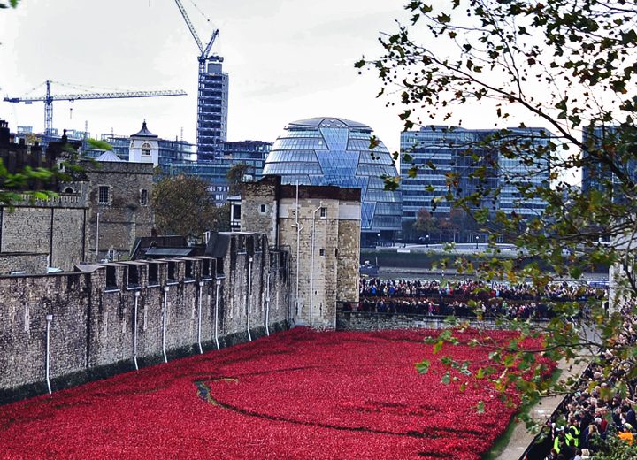 London Remembrance Day