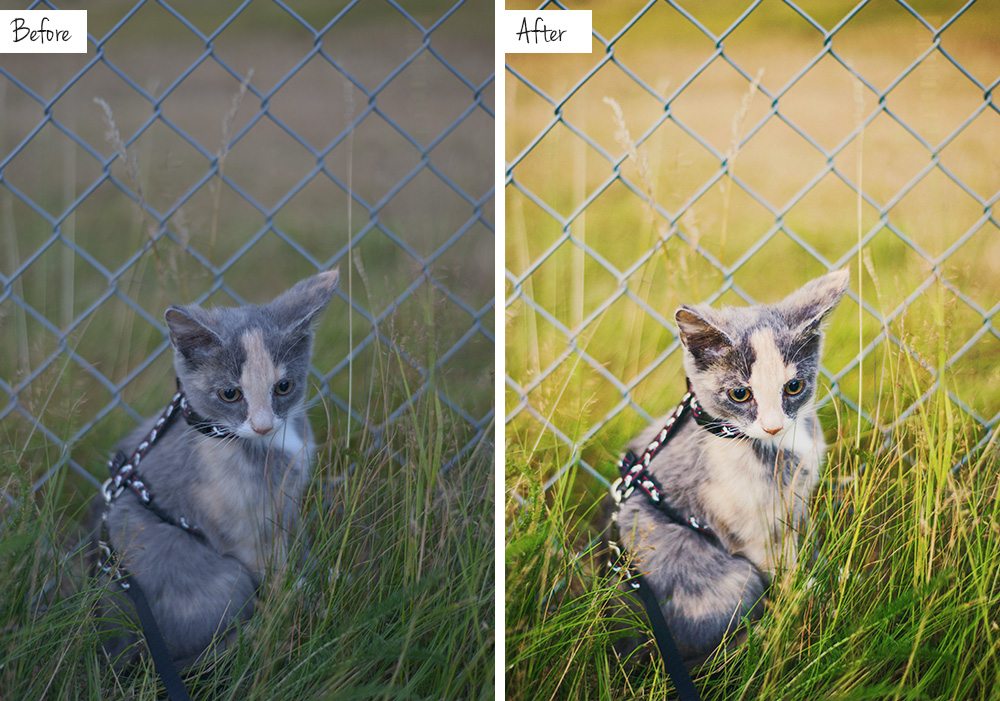 Before & after editing in Photoshop