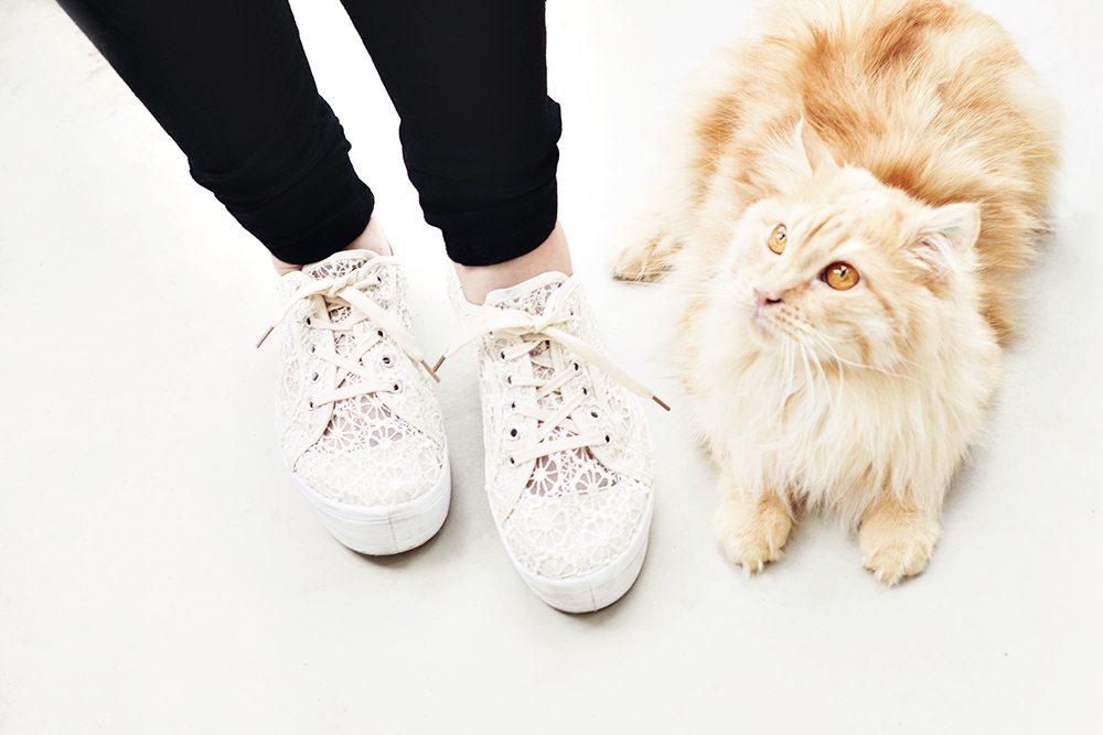 Platform Sneakers Cream Lace