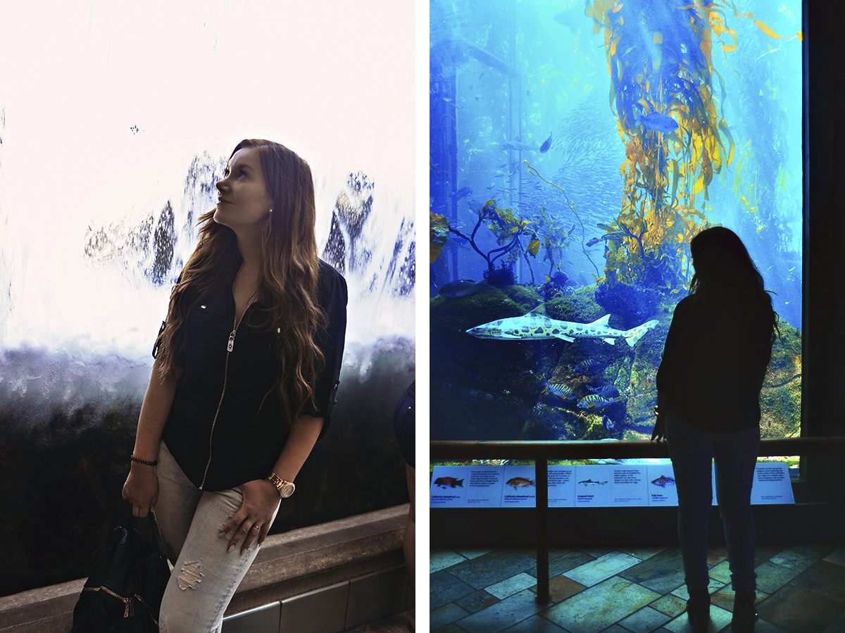 Monterey Bay Aquarium