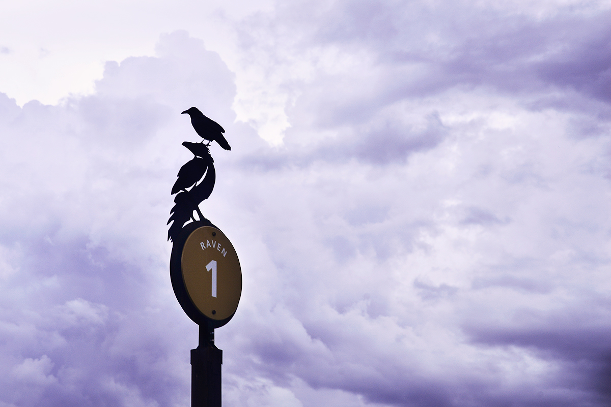 Grand Canyon Raven Parking