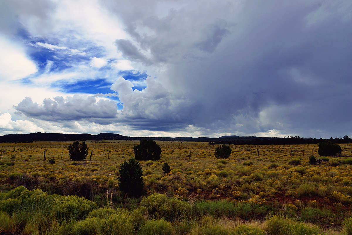 On the road to Grand Canyon