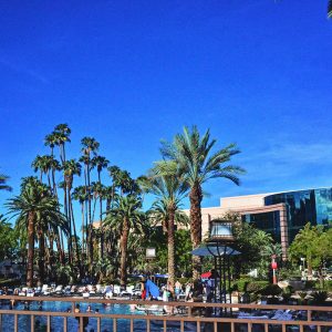 Pool complex at MGM Grand