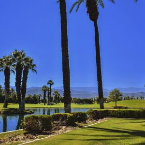 Desert Springs