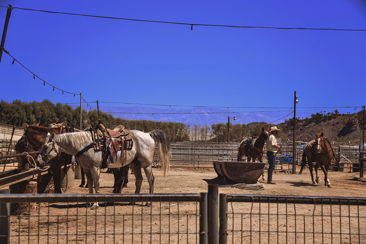 Smoke Tree Stables in Palm Springs