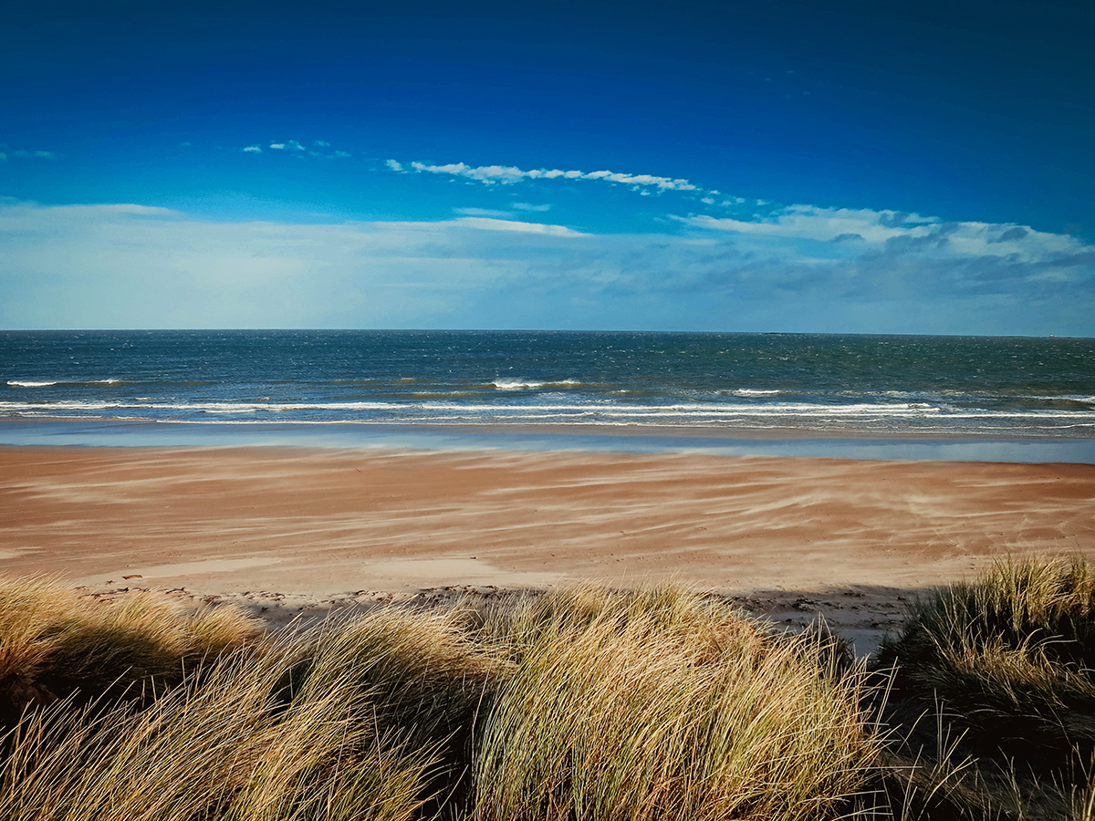 Nature in Northumberland