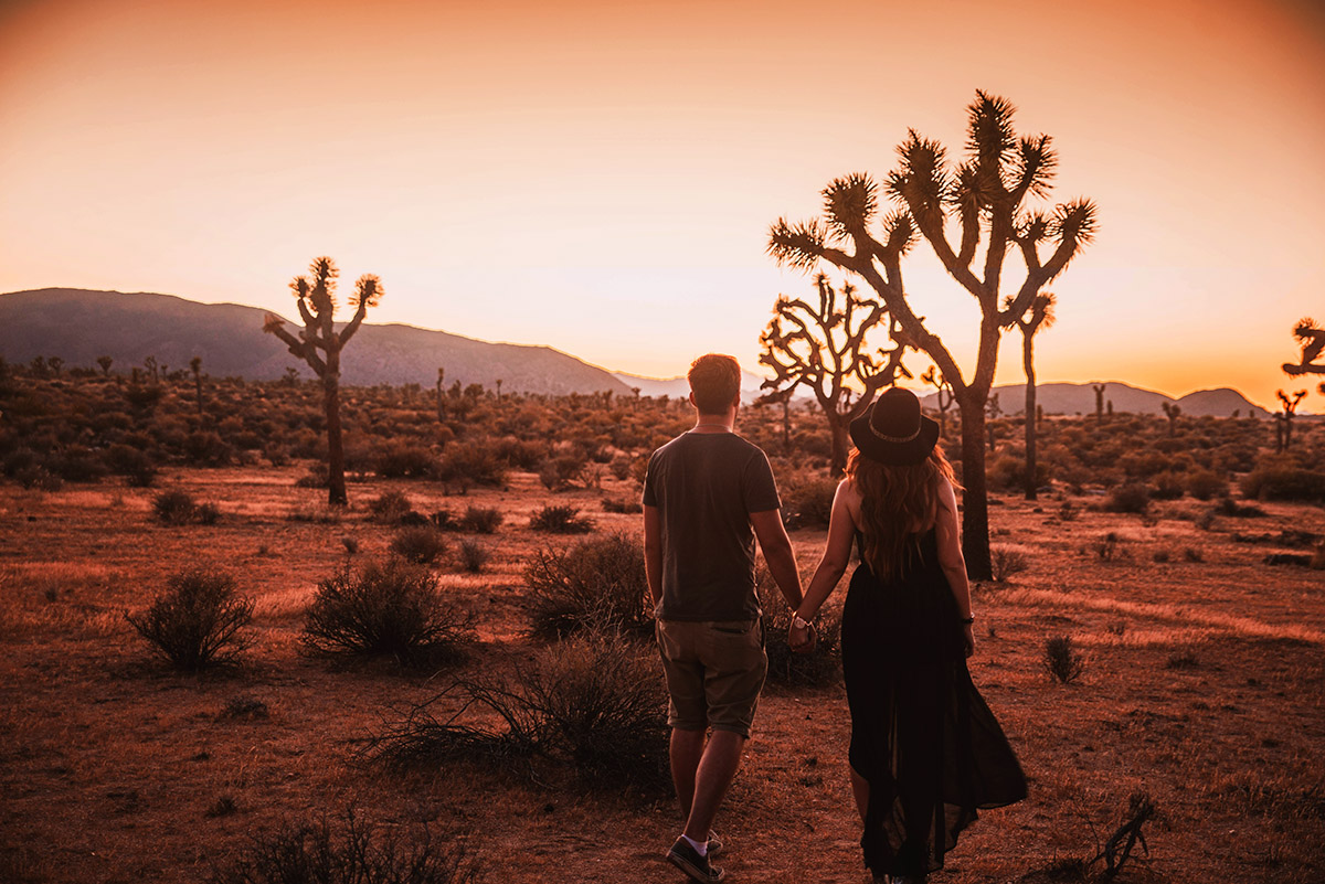 Sunset in Joshua Tree National Park