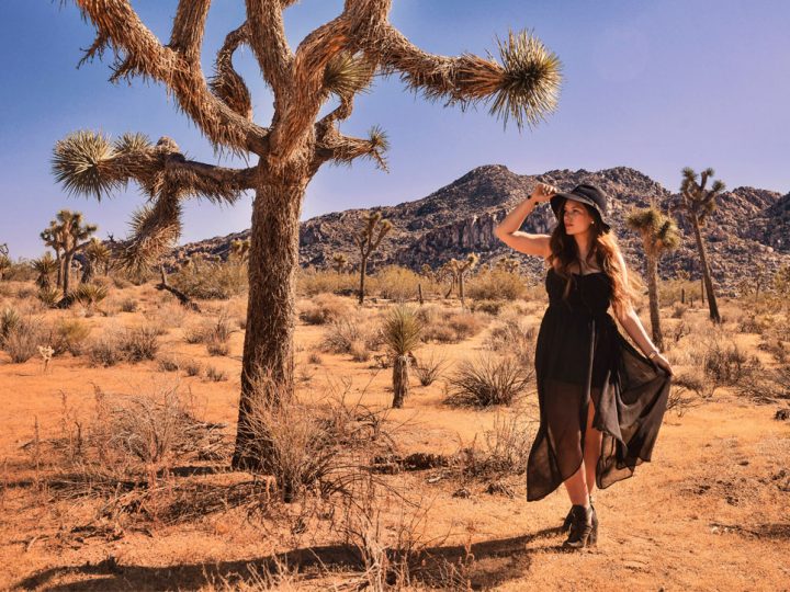 Joshua Tree National Park