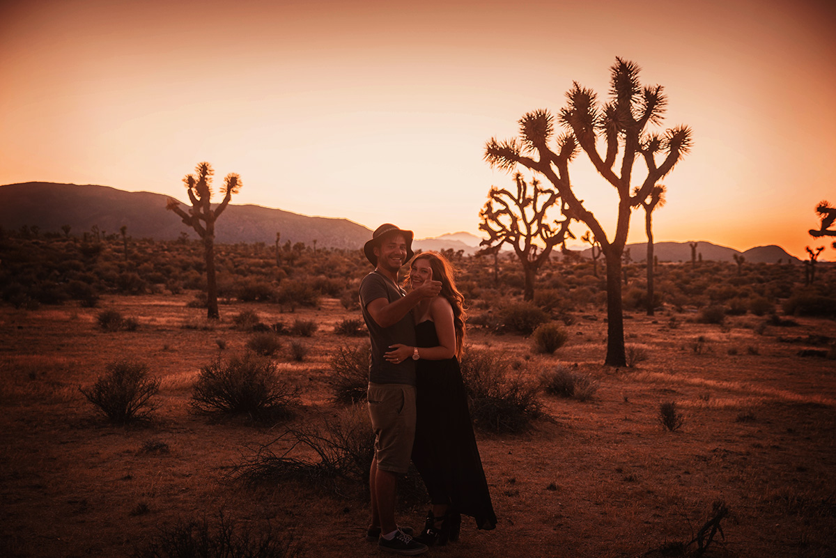 Sunset in Joshua Tree National Park