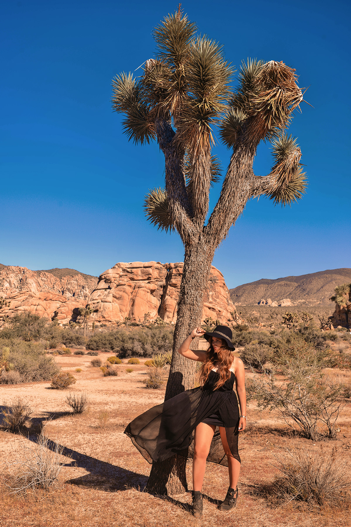 Joshua Tree National Park