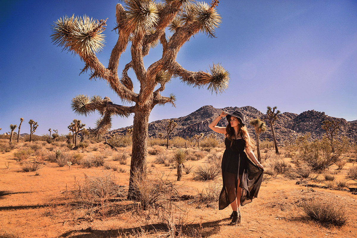 Joshua Tree National Park