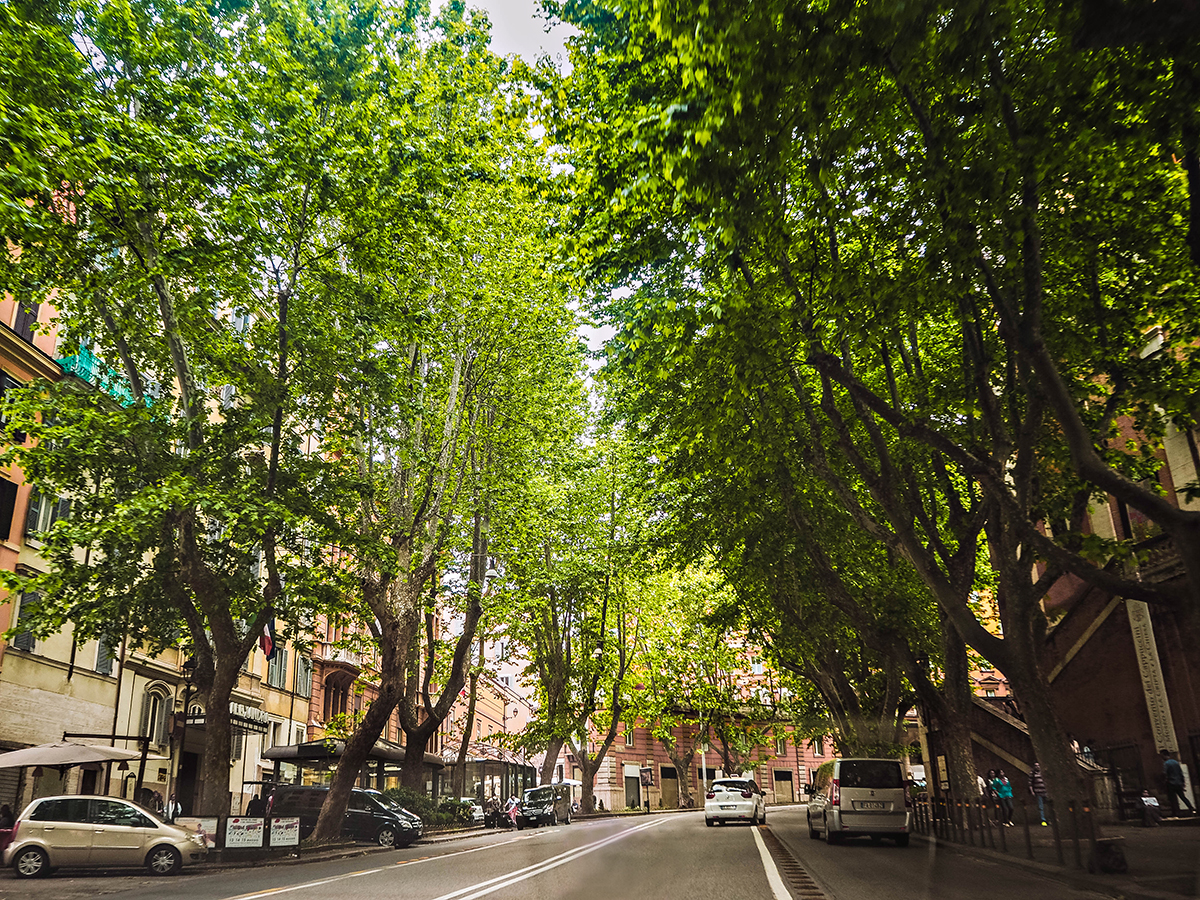 Green street in Rome