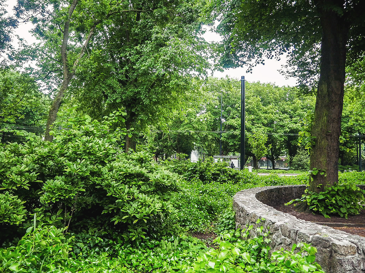 Green park in Amsterdam