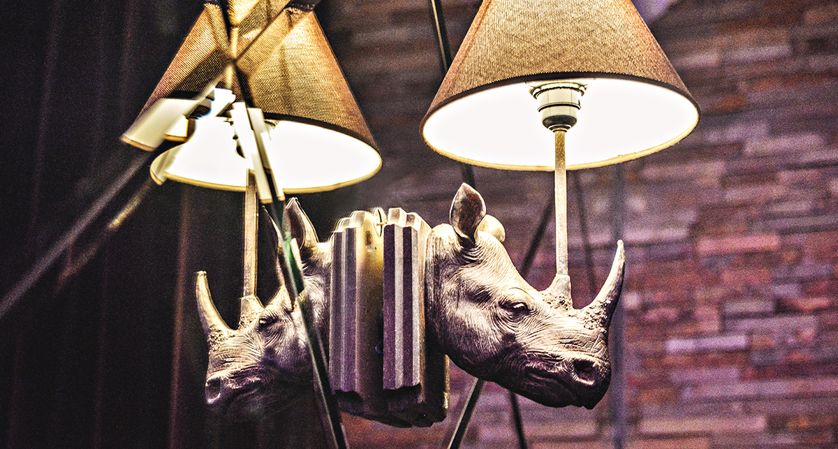 Cool rhino lamp