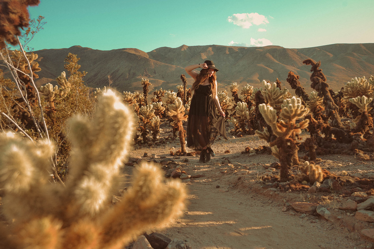 California outfit in Joshua Tree National Park