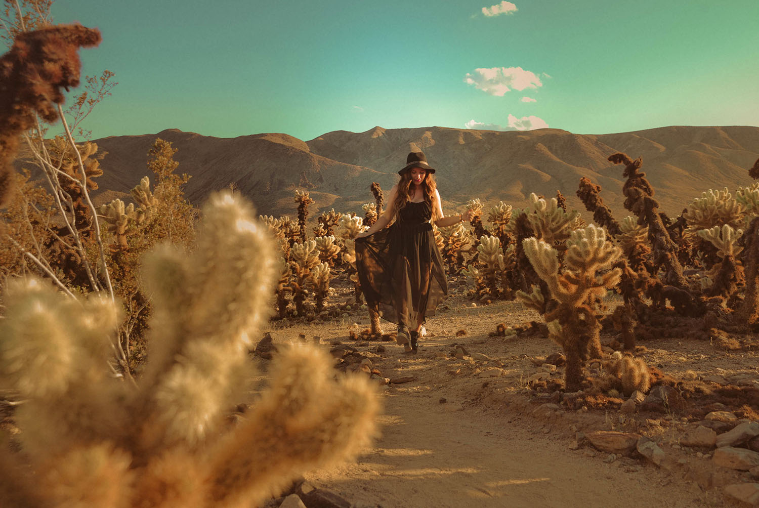 California outfit in Joshua Tree National Park