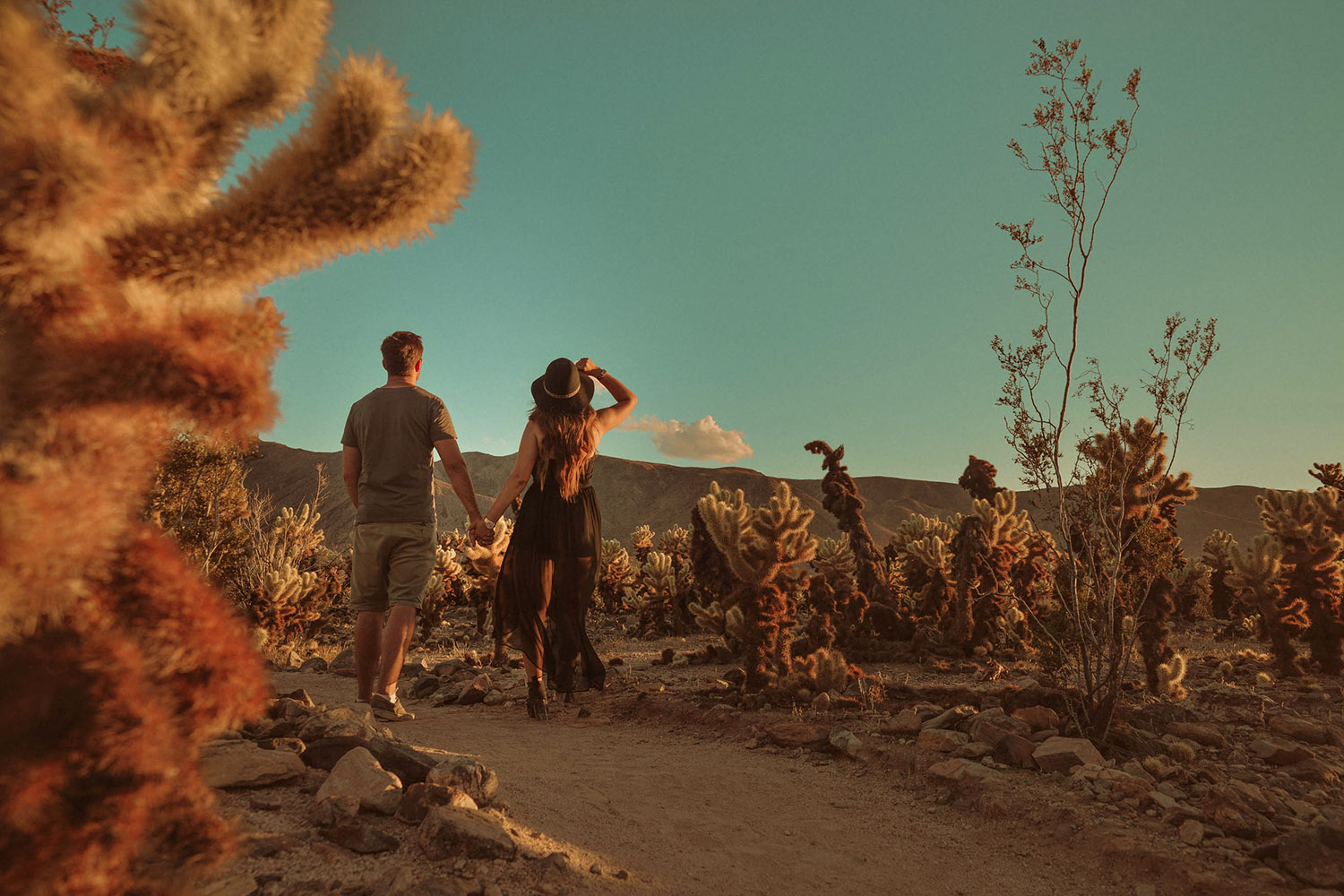 Couple Holing Hands in Joshua Tree National Park