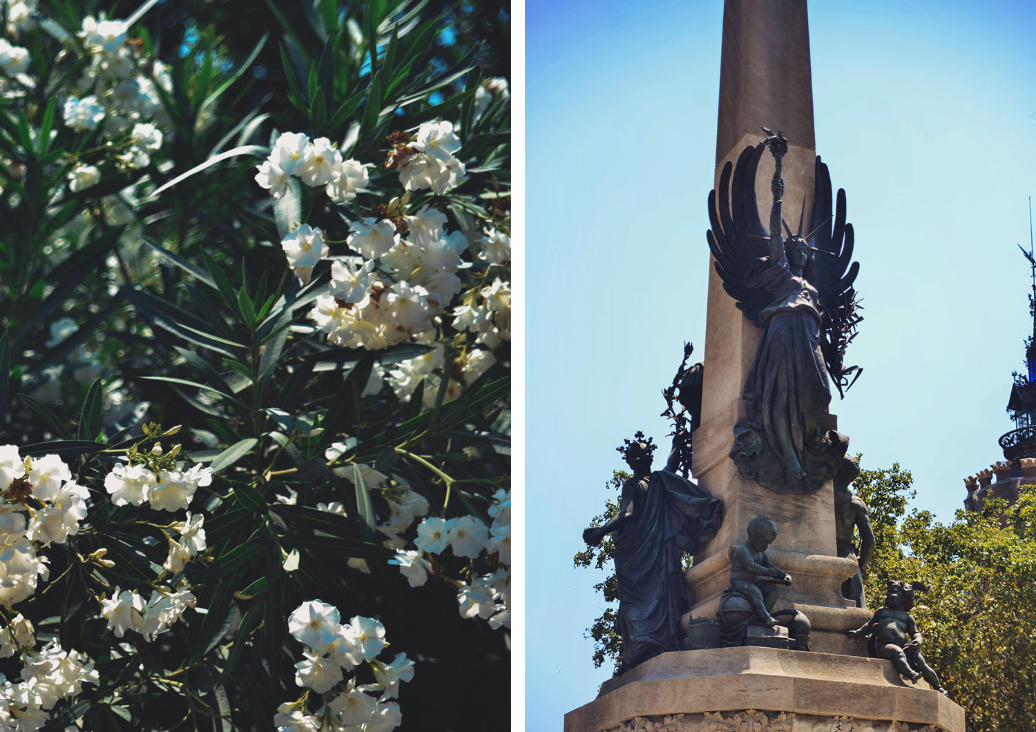 White flowers and an angel statue in Barcelona