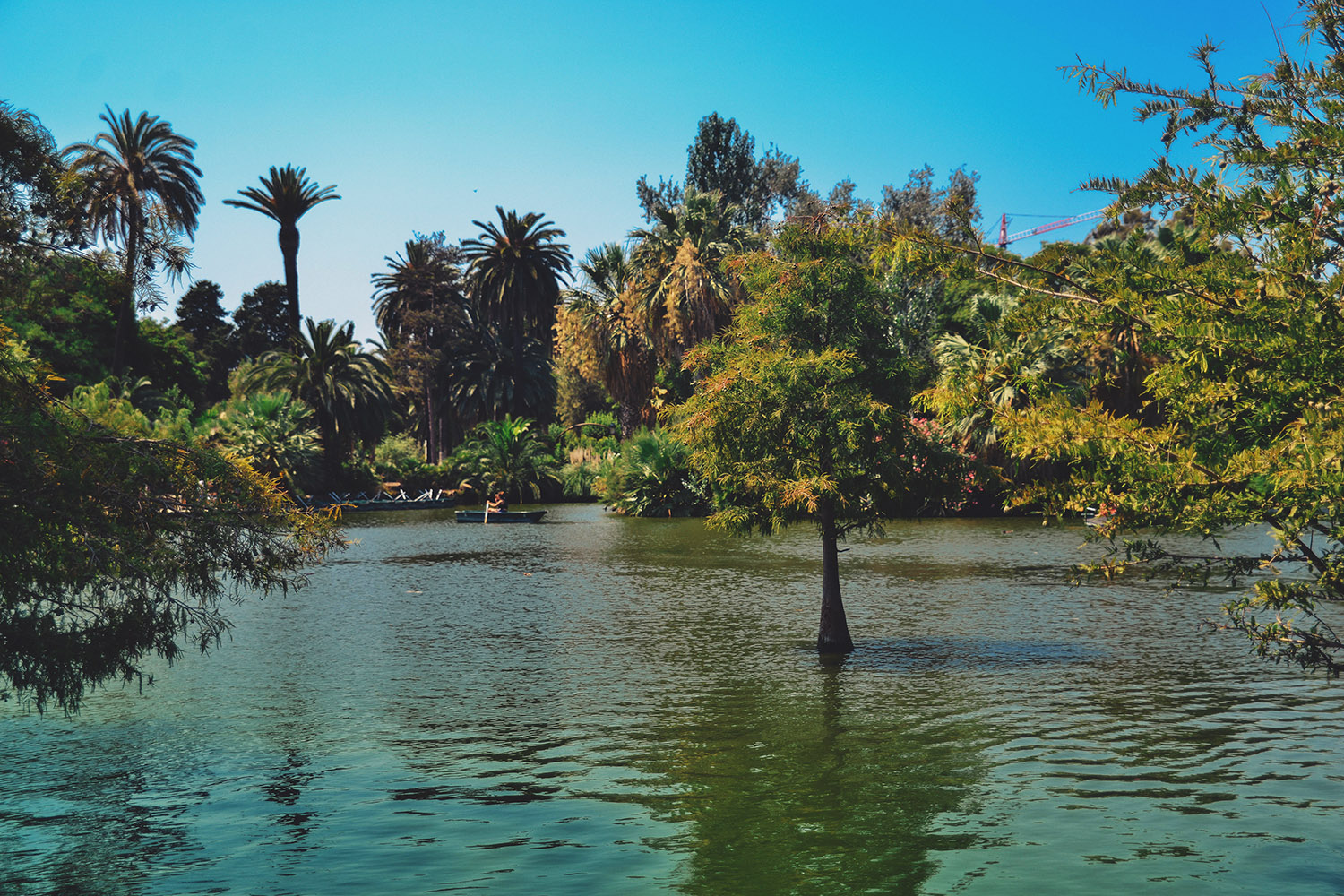 Green lake in Parc de la Ciutadella in Barcelona