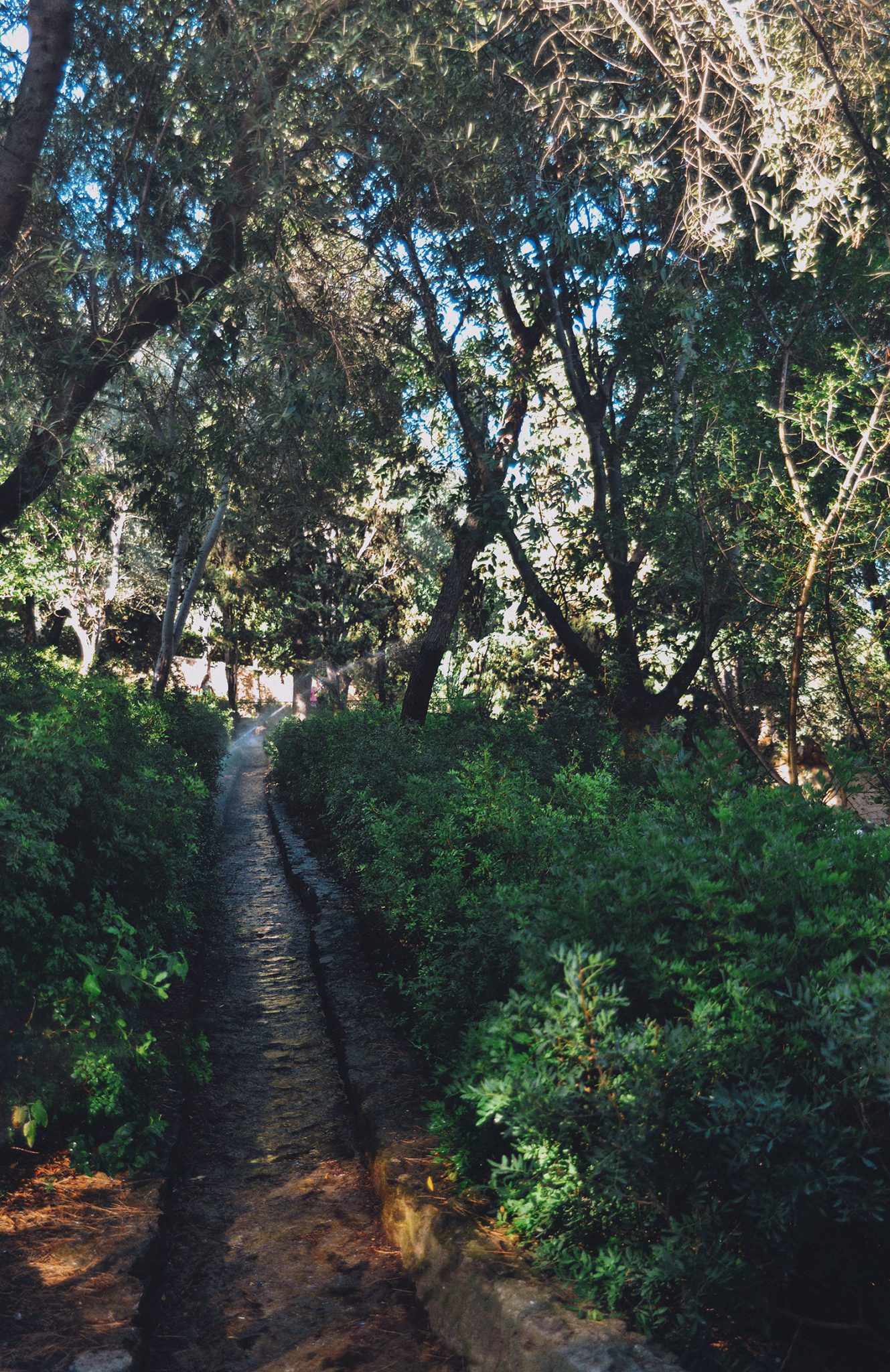 Path in Park Güell in Barcelona