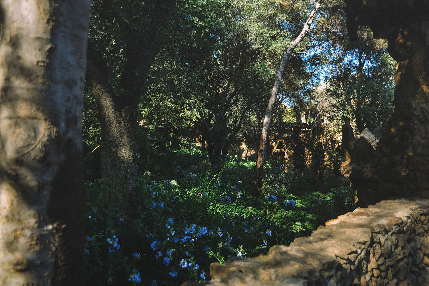 Parc Güell