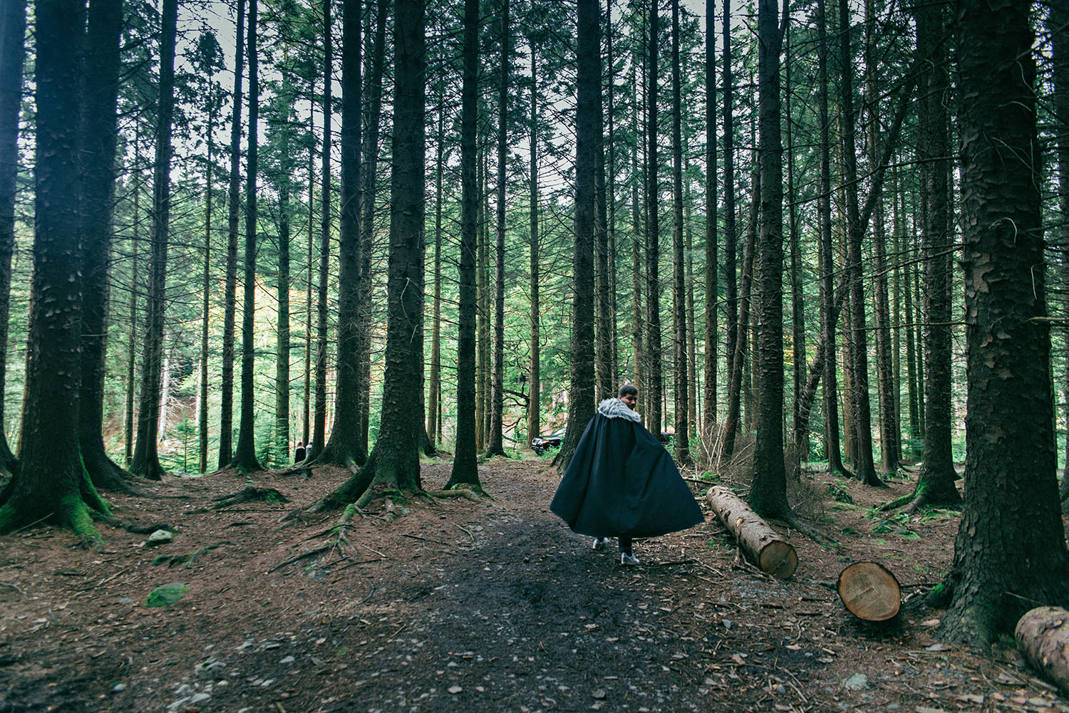 Tollymore Forest Park - Game of Thrones The Haunted Forest