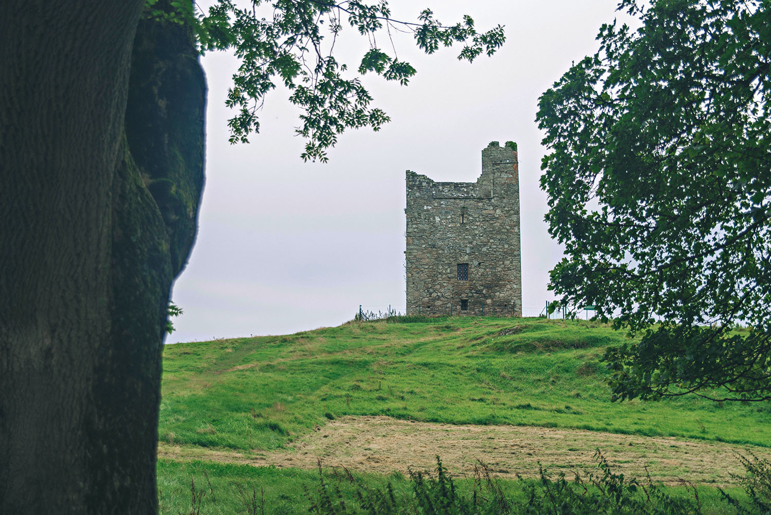 Audley's Castle, Castle Ward, Red Wedding Exterior