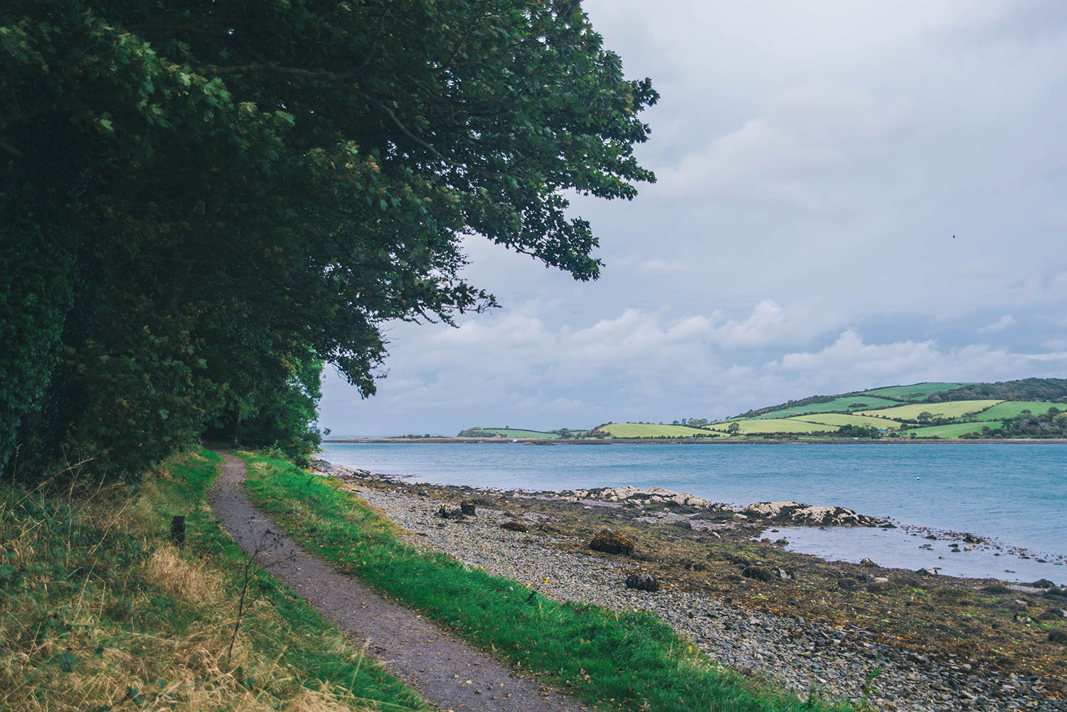 Castle Ward Strangford Lough