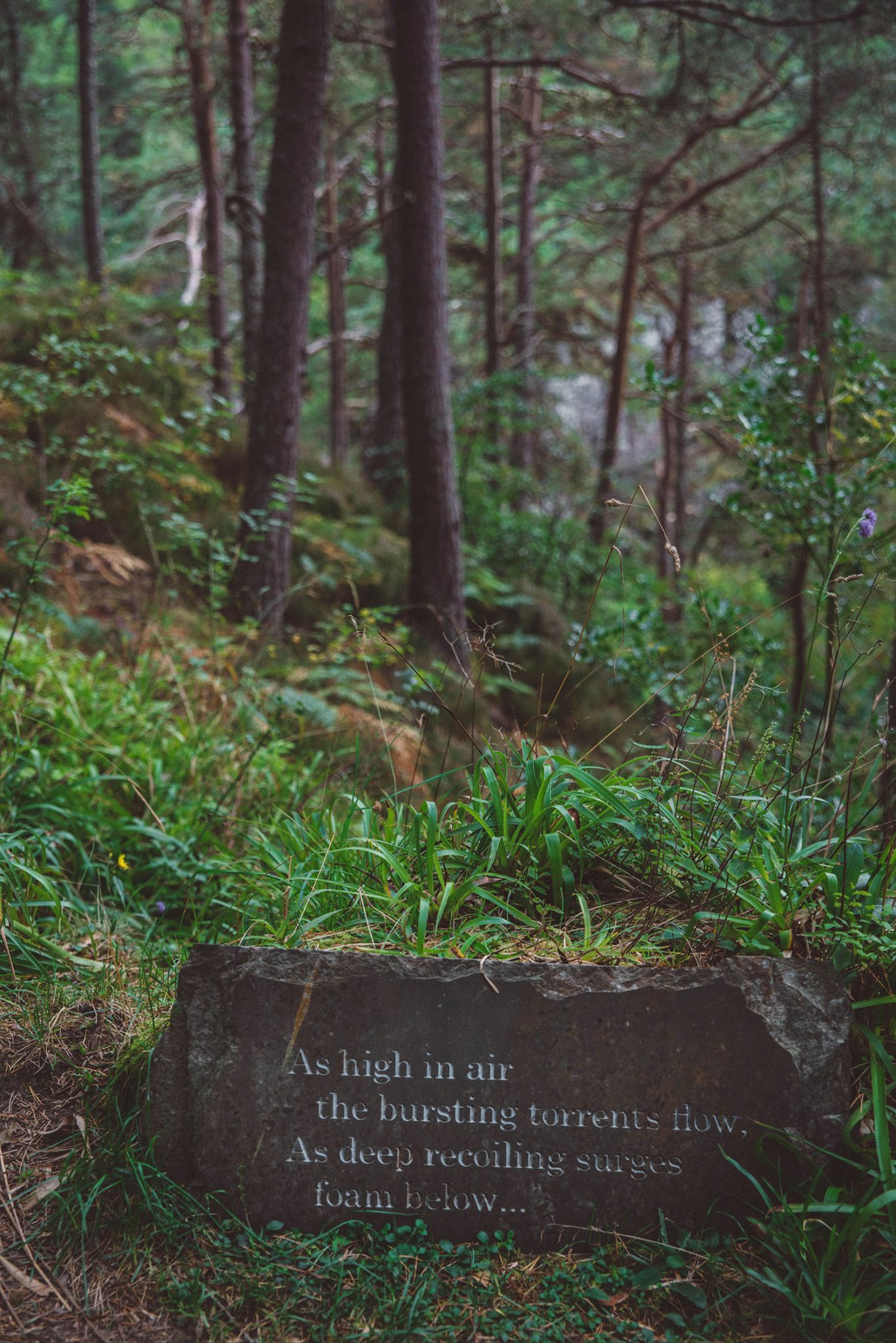 Don't miss the carved stones along the beautiful pathway