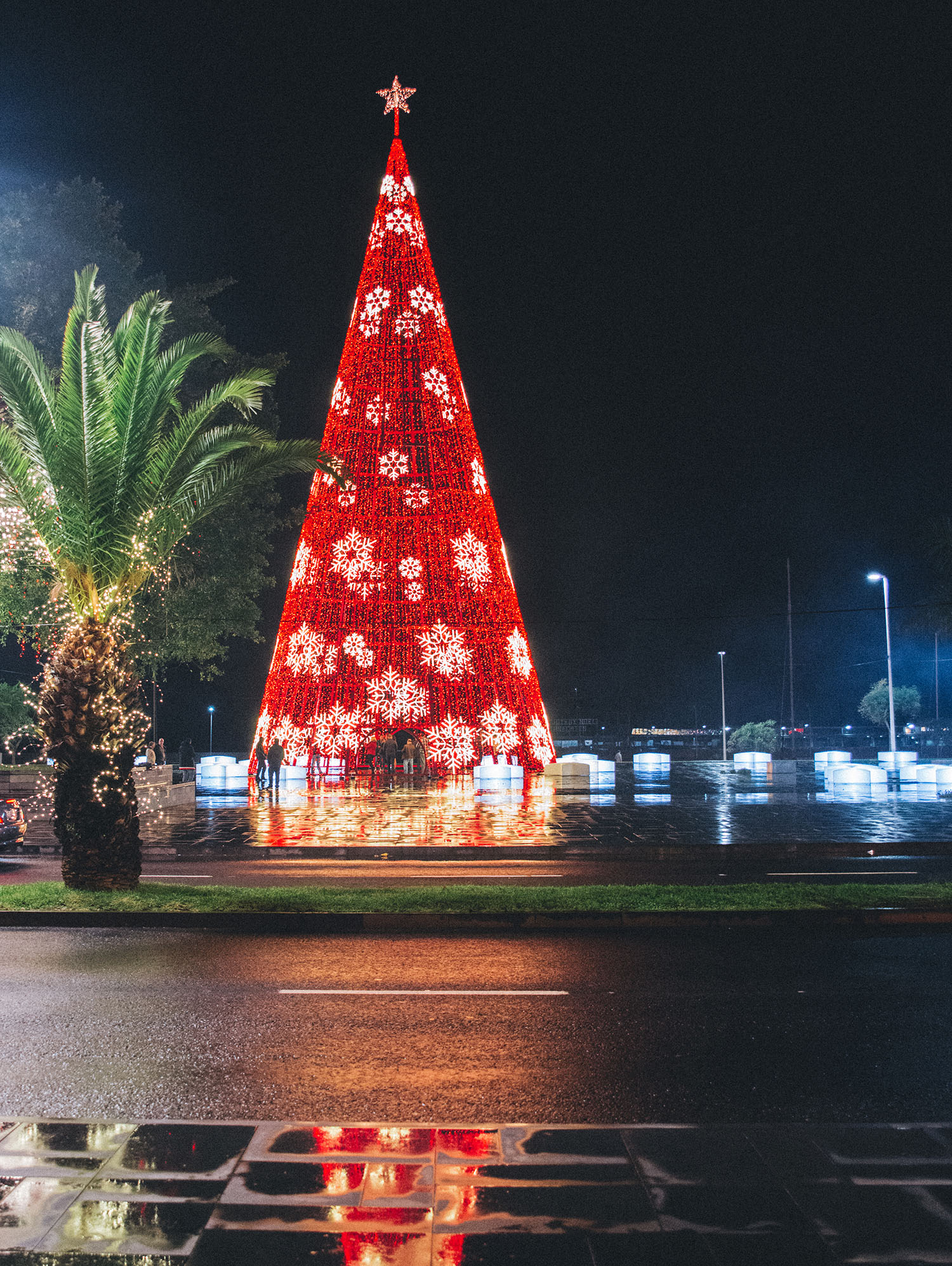 Christmas Light Tree Madeira