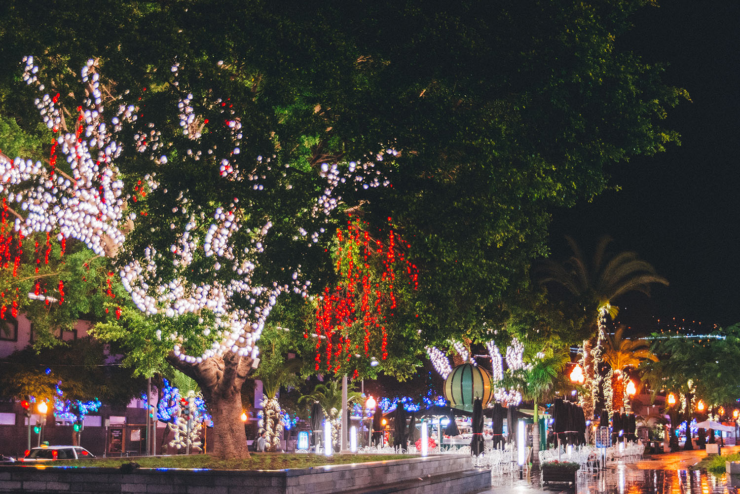 Christmas Lights in Madeira