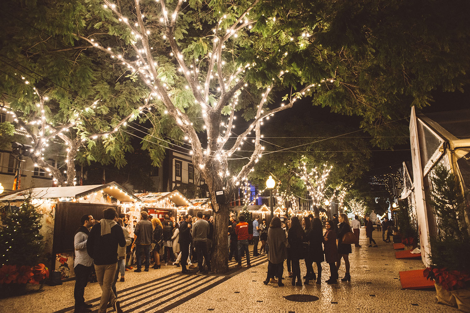 Christmas Market in Madeira