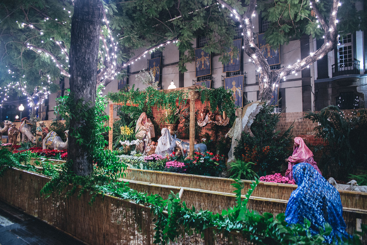 Christmas Crib in Madeira