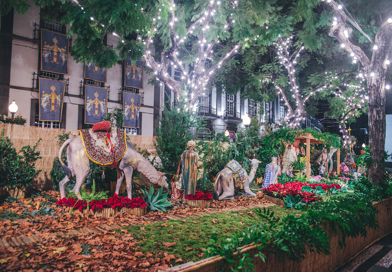 Christmas Crib in Madeira