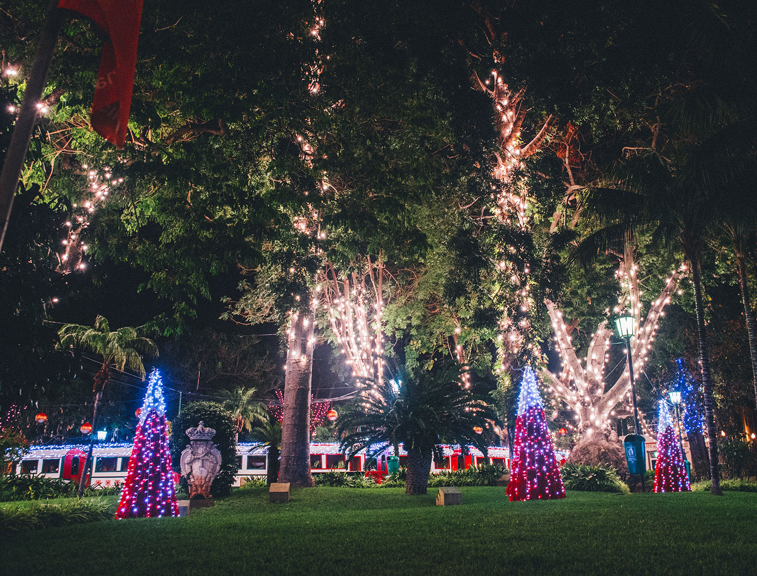 Christmas Lights in Funchal, Madeira