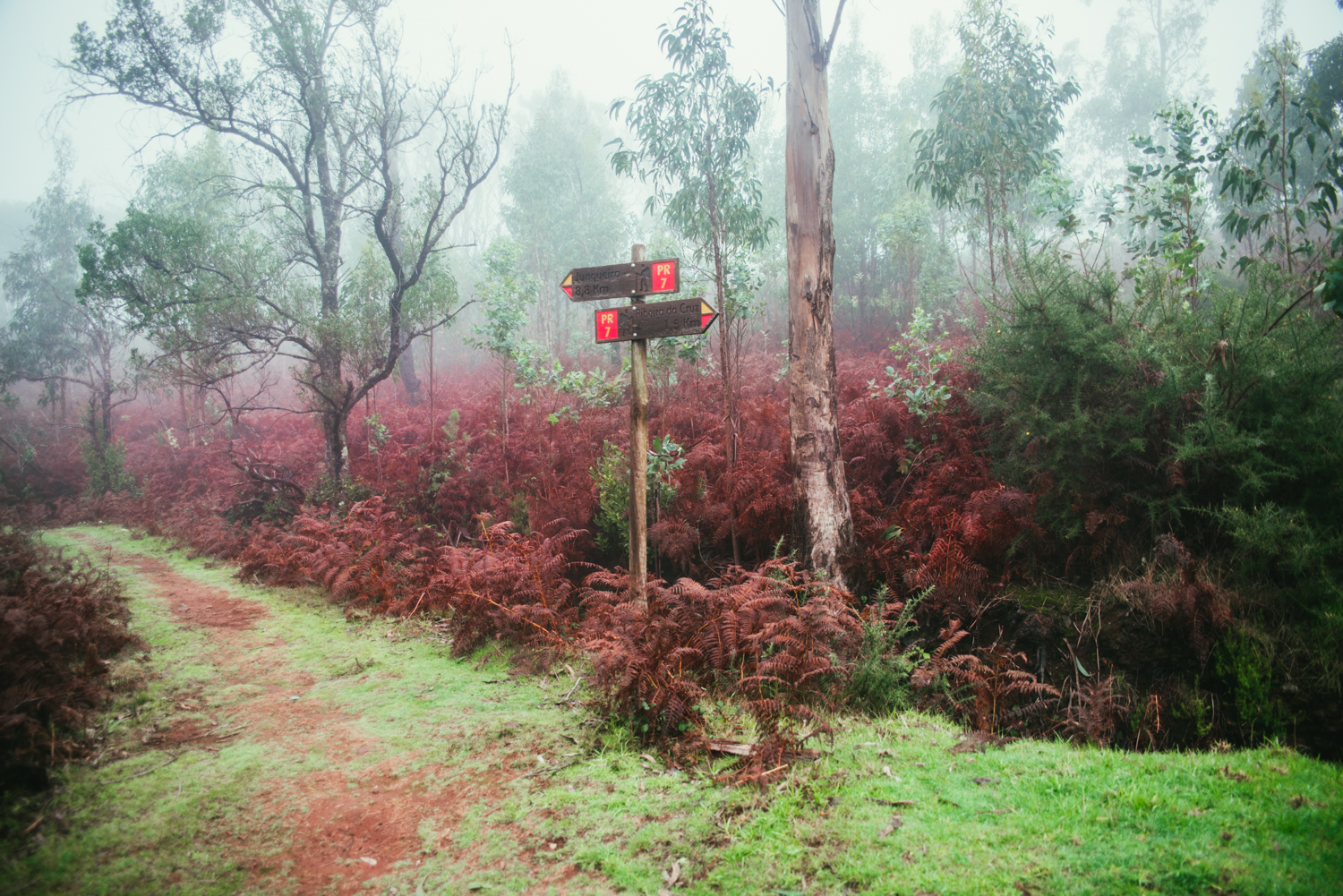 Levada Walking Routes in Madeira