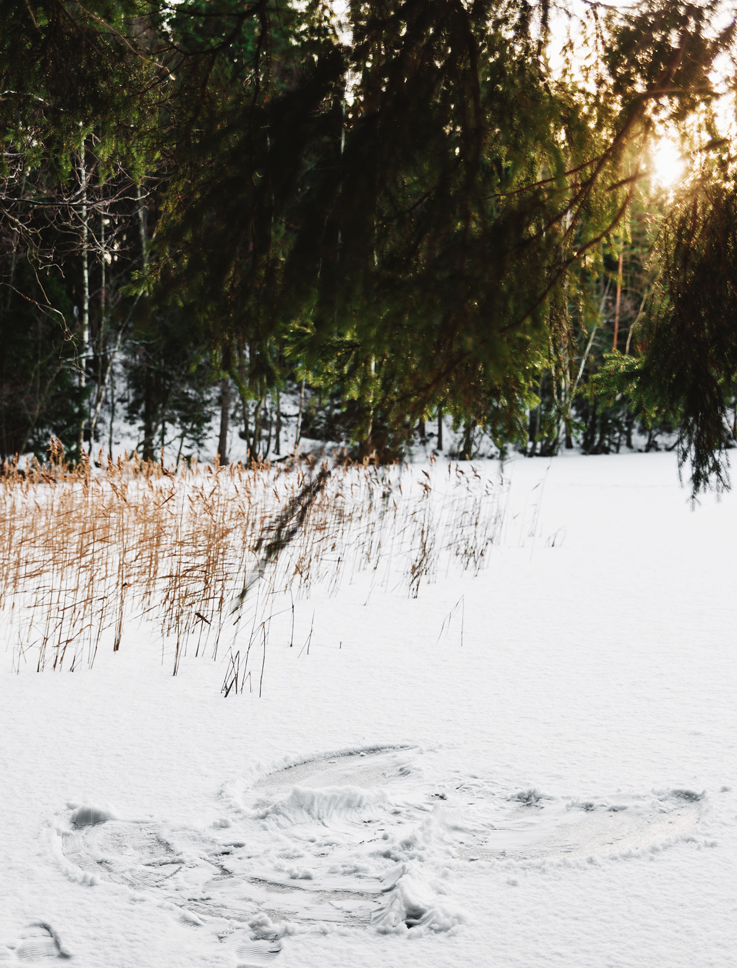 Snow angel in Kuusijärvi