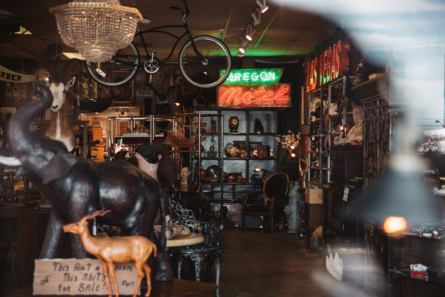 Antique Store in Las Vegas Arts District