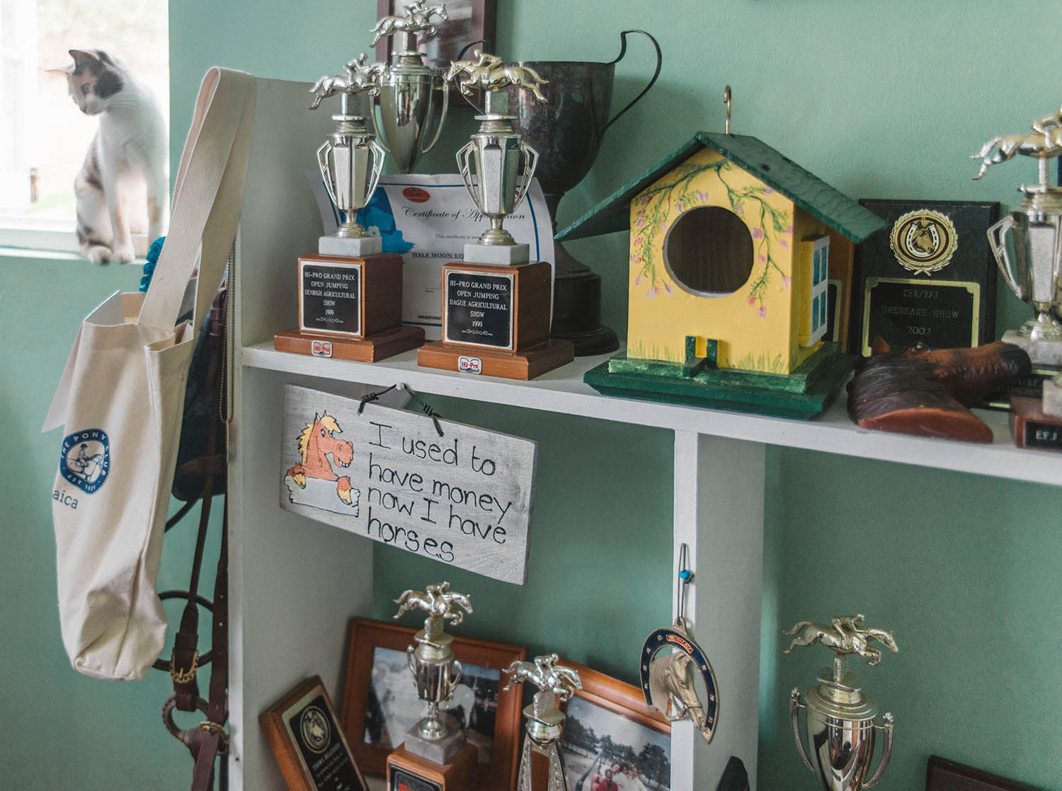 Half Moon Equestrian Centre, Montego Bay, Jamaica