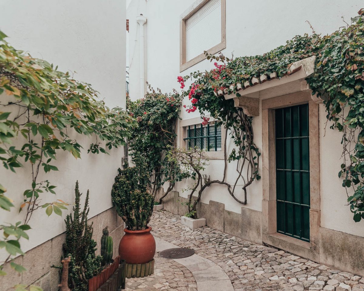 Street with flowers and cactus plants in Cascais, Portugal