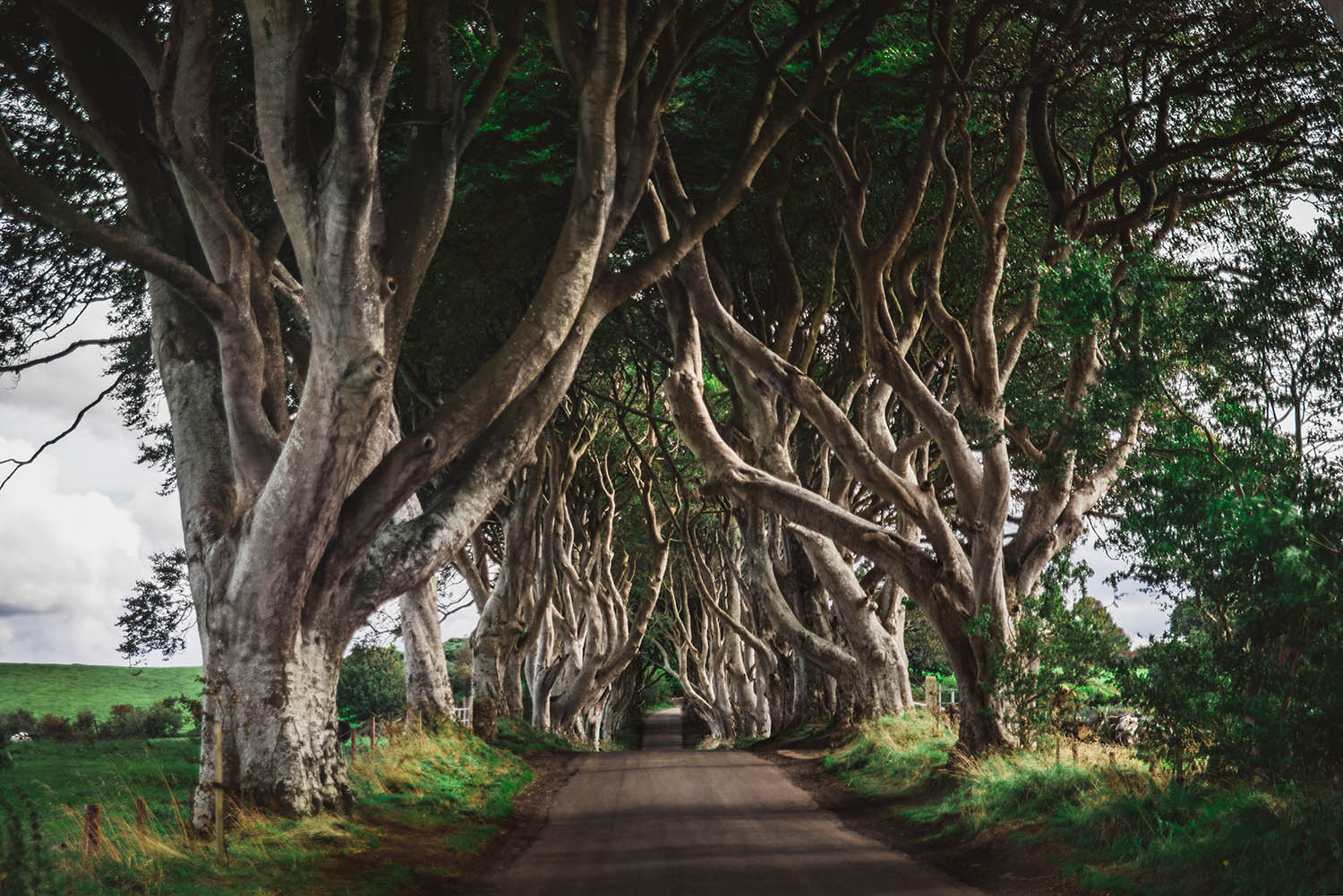 Dark Hedges, Northern Ireland