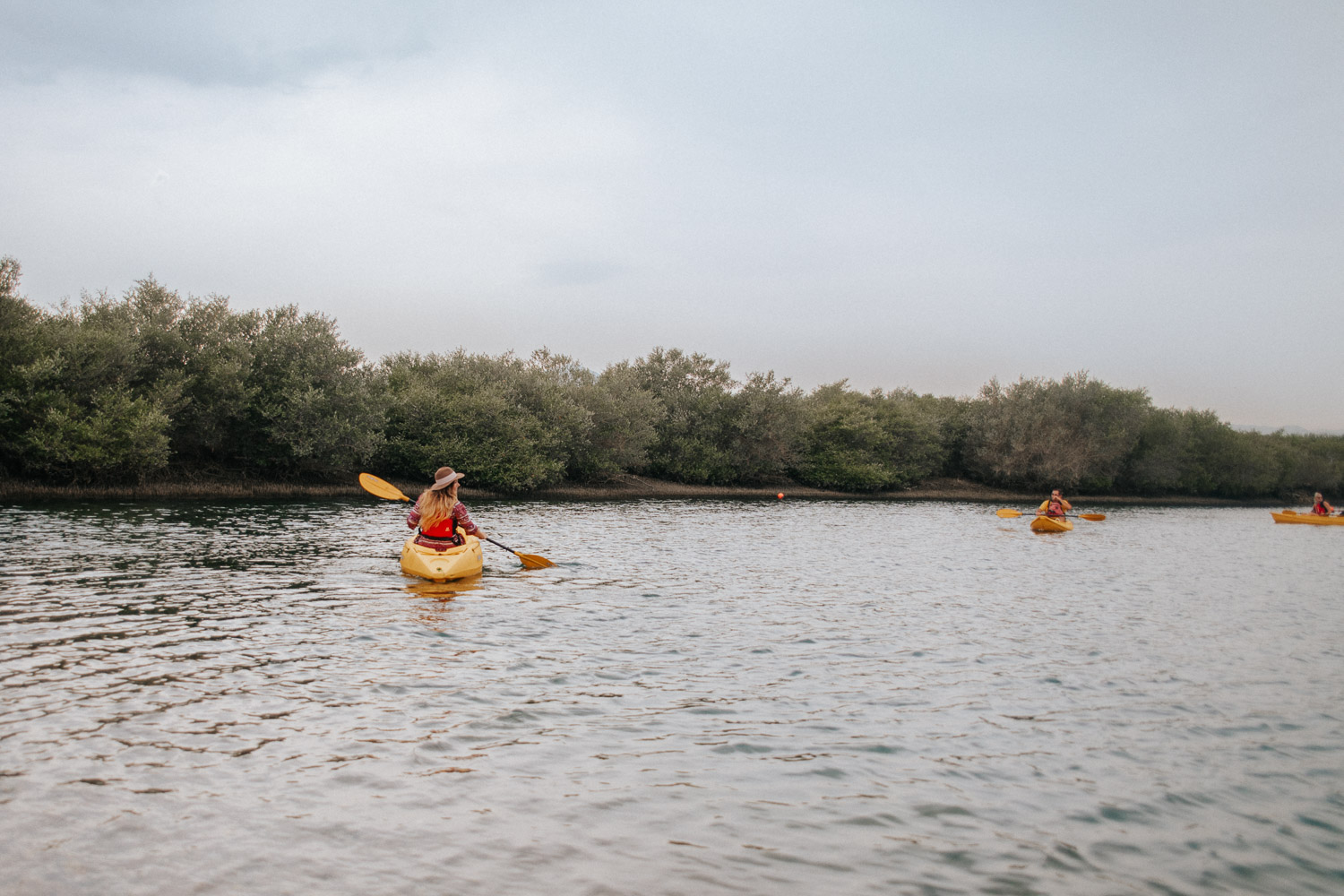 Paddla kajak bland Arabiens äldsta mangroveskog | Saker att göra i Sharjah, UAE