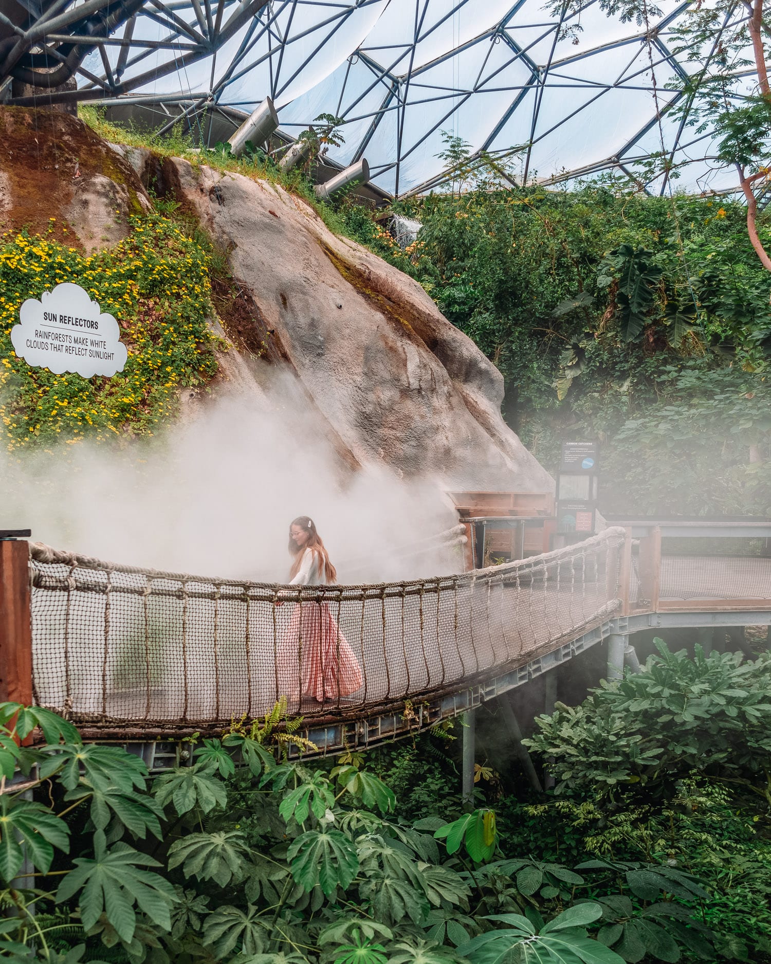 Regnskogsbiomen i Eden Project |  Saker att göra i Cornwall, Storbritannien