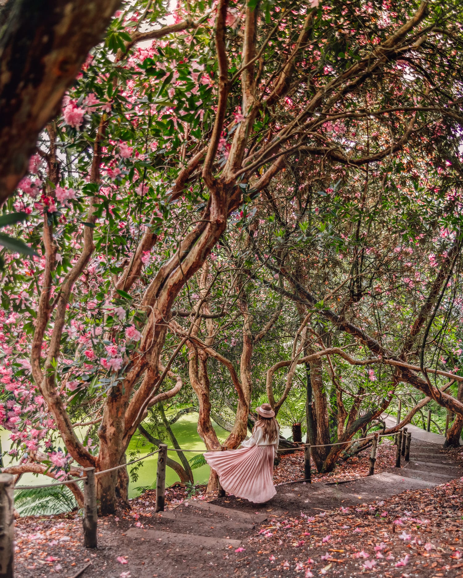 Djungeln i The Lost Gardens of Heligan |  Fantastiska Instagramplatser i Cornwall, England