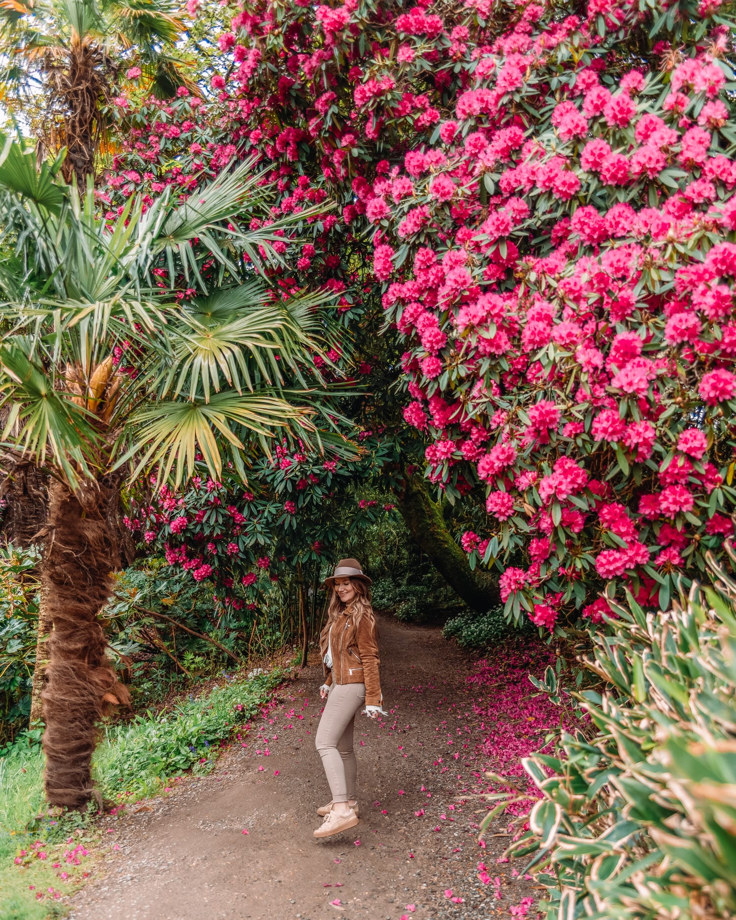 The Lost Gardens of Heligan |  Vacker plats i Cornwall, England