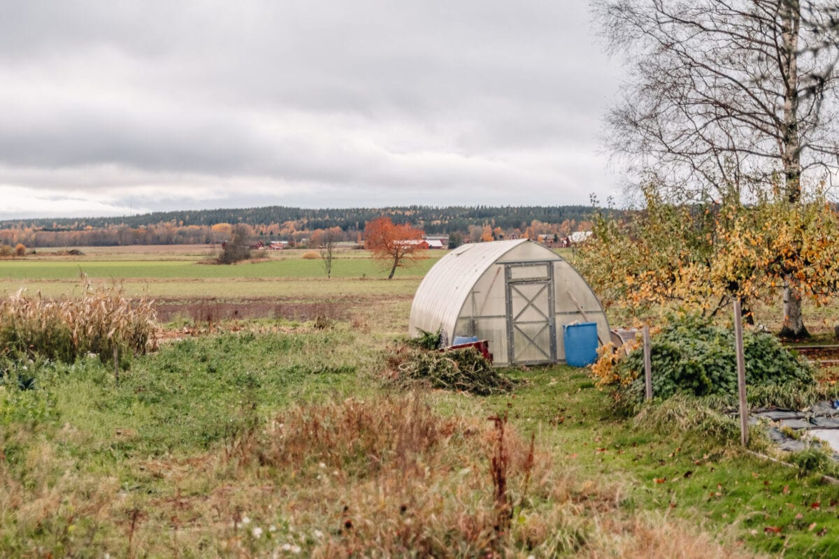 Gårdsrestaurang MULL på Jannelunds Gård, Örebro