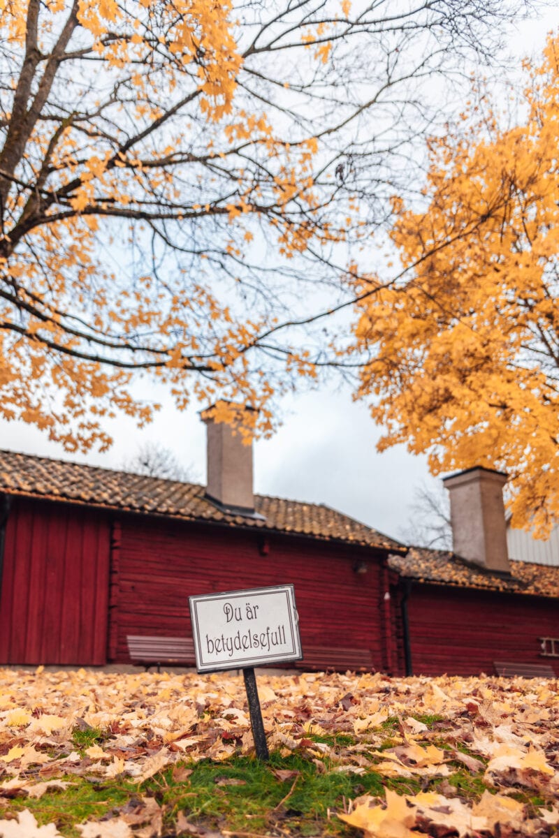 Skylt "Du är värdefull" syns ovanför mark täckt med gula höstlöv i Wadköping, Örebro